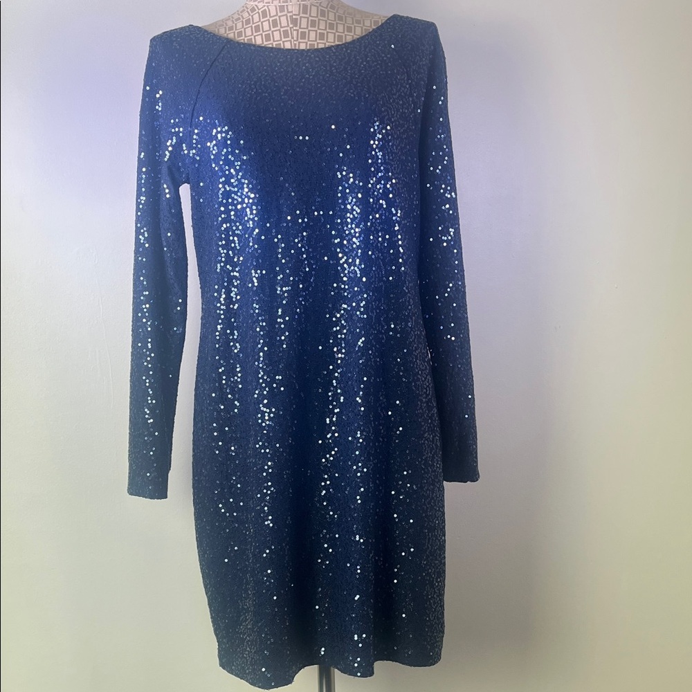 Elegant Blue Tibi  Sequin Dress